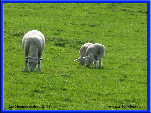 rencontre ardennes